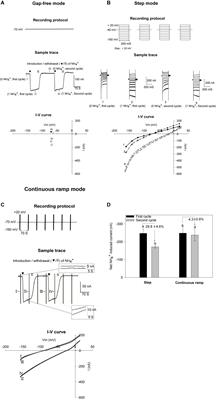 Functional Characterization of the Arabidopsis Ammonium Transporter AtAMT1;3 With the Emphasis on Structural Determinants of Substrate Binding and Permeation Properties